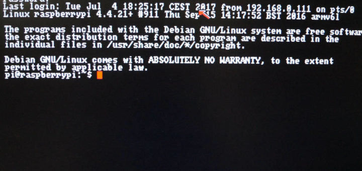 Amiga Linux Terminal