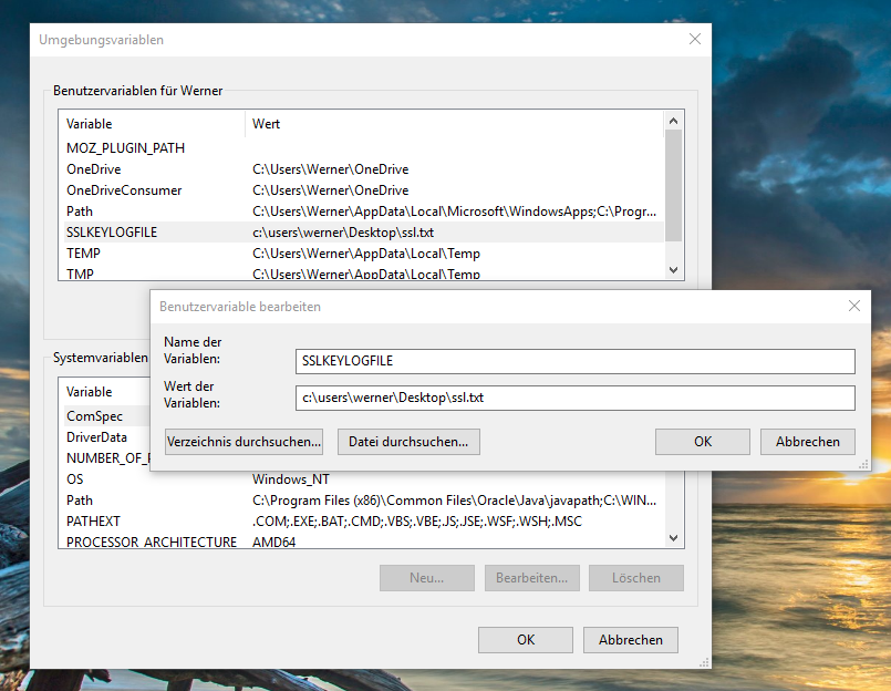 Windows SSL Keys auslesen