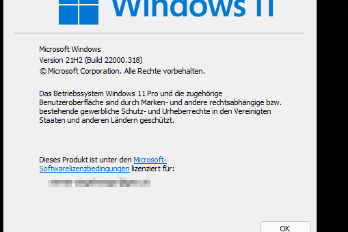 Windows 11 installiert